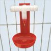 máng nước tự động cho gà nuôi lồng