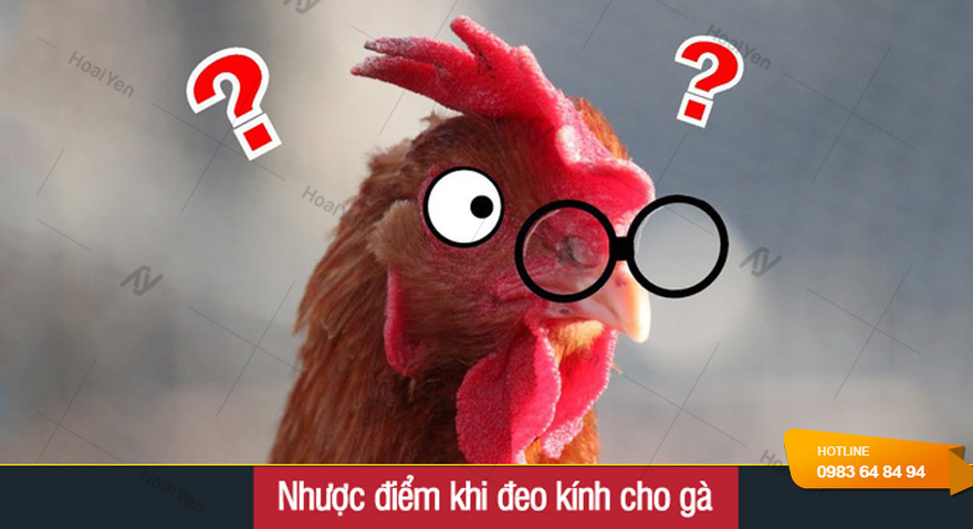 Nhược điểm khi đeo kính mắt cho gà