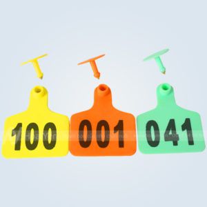 thẻ tai heo, trâu, bò