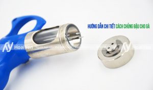 Hướng dẫn chi tiết cách chủng đậu gà