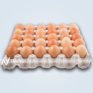 Vỉ giấy đựng trứng