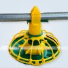 Máng ăn tự động gà Máng ăn tự động gà