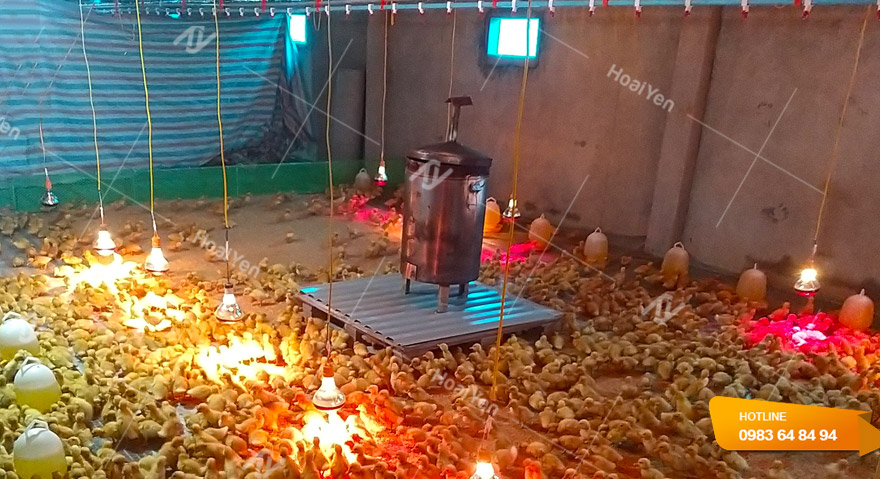 Hình ảnh thực tế do Hoài Yến lắp đặt lò sưởi bằng than, củi cho trang trại nuôi gà quy mô lớn