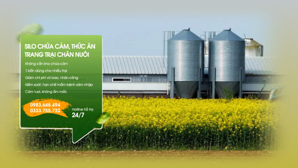Bồn silo chứa cám, thức ăn cho trang trại