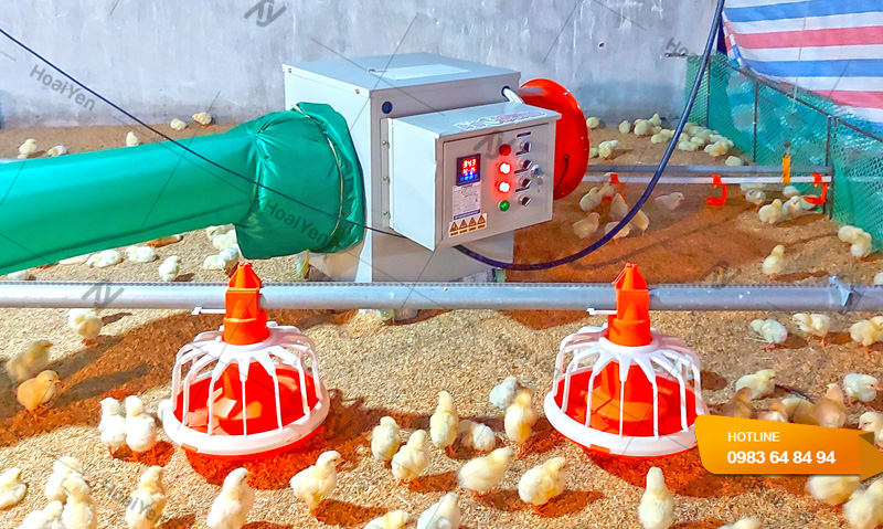 Hình ảnh thi công máy quạt sưởi úm công nghiệp