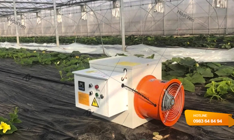 Máy sưởi điện của Hoài Yến được ứng dụng trong trang trại trồng rau