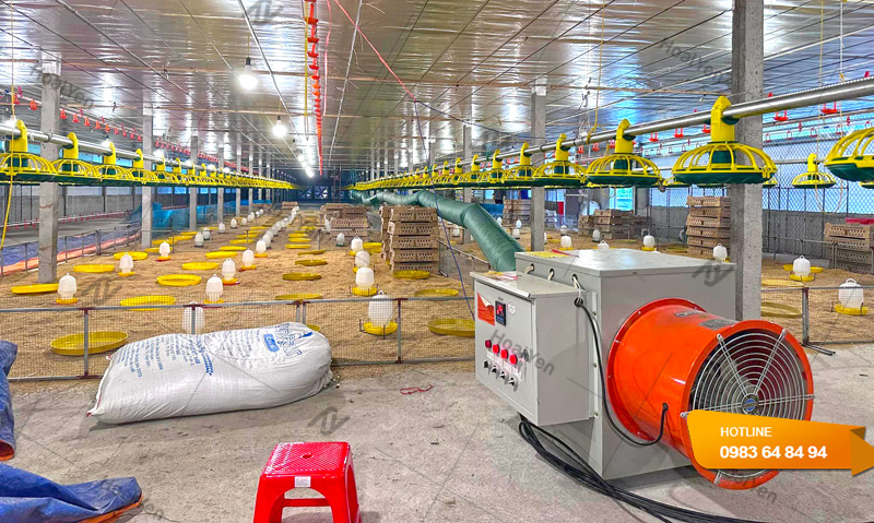 Máy sưởi điện của Hoài Yến được ứng dụng trong trang trại chăn nuôi